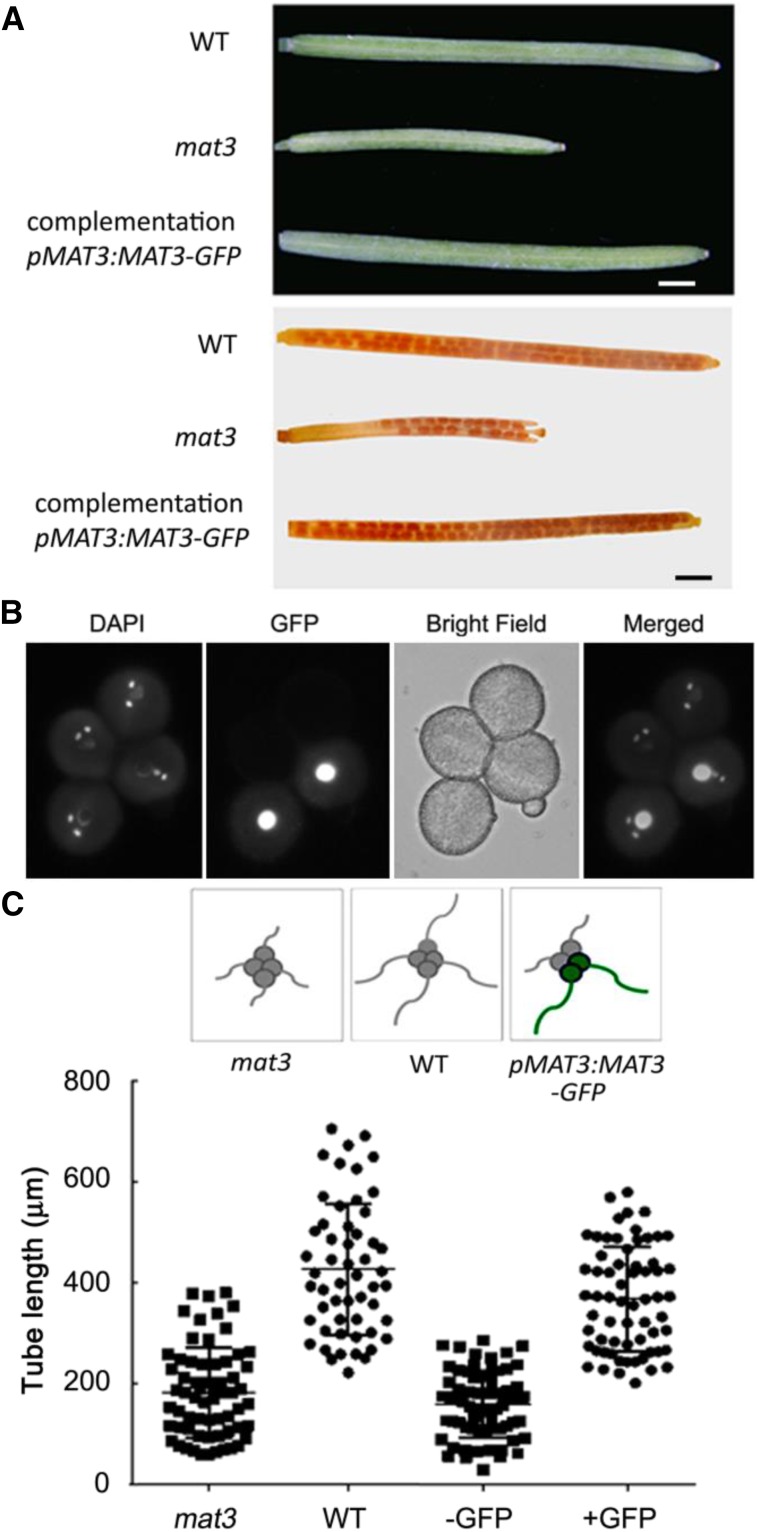 Figure 3.