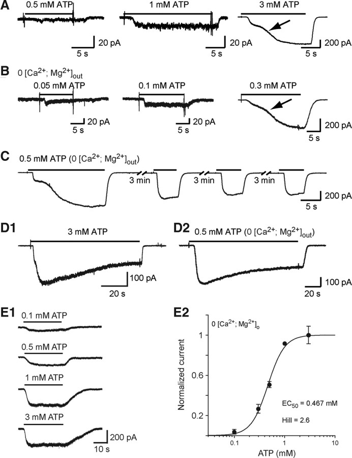 Figure 3.