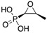 graphic file with name antibiotics-08-00122-i001.jpg