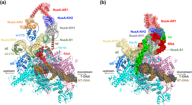 Figure 7.