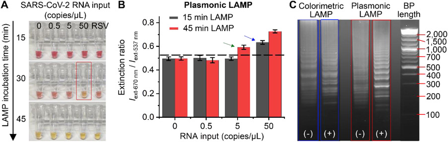 Figure 5.