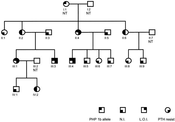 Figure  4