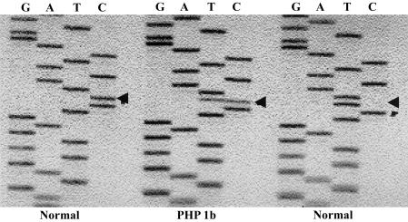 Figure  3