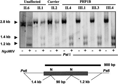 Figure  1