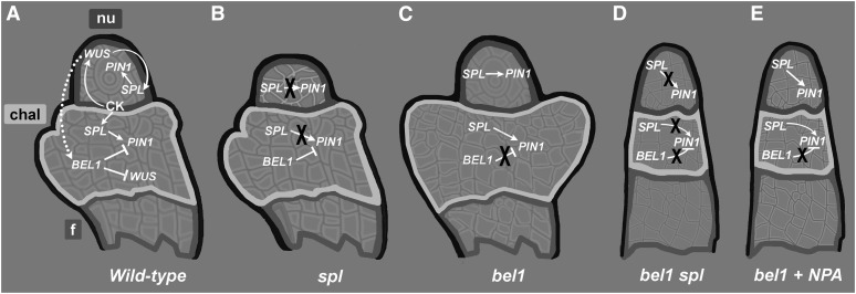 Figure 6.