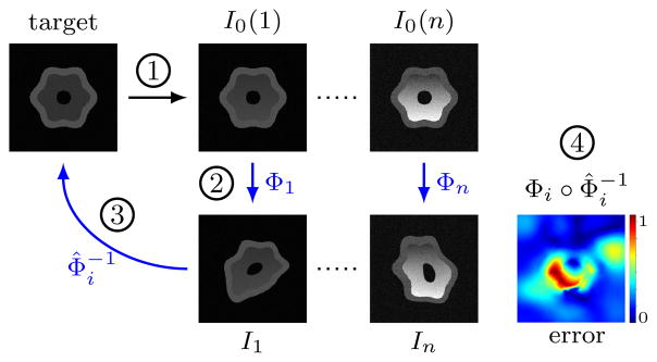 Fig. 7