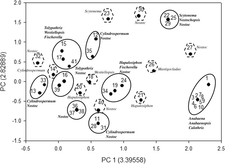 Fig. 12