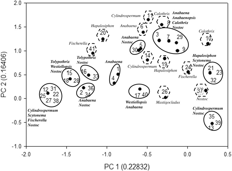 Fig. 10