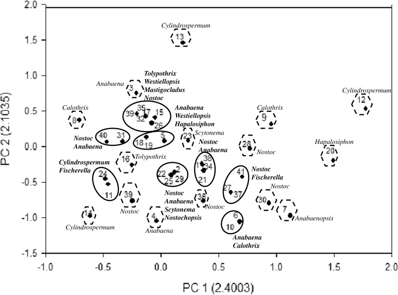 Fig. 9