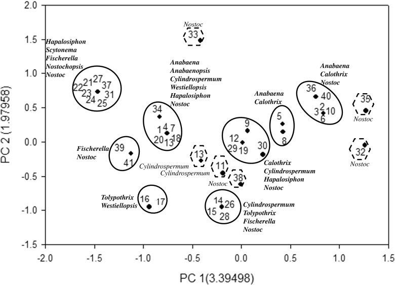 Fig. 11