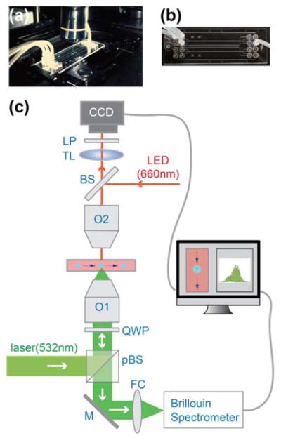 Fig. 1