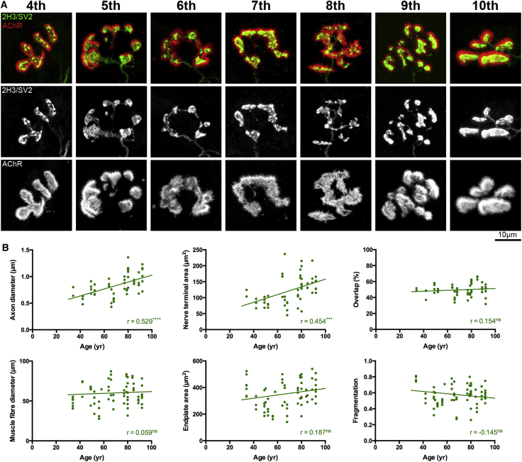 Figure 2