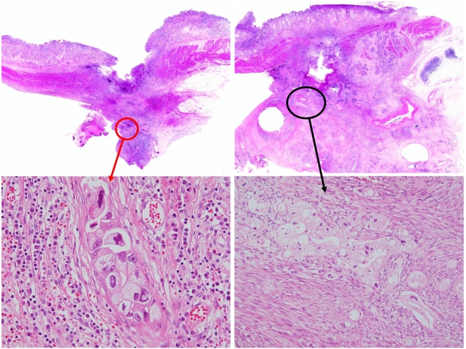 Fig. 2