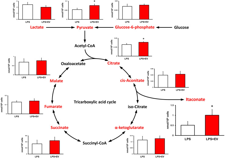 Figure 5