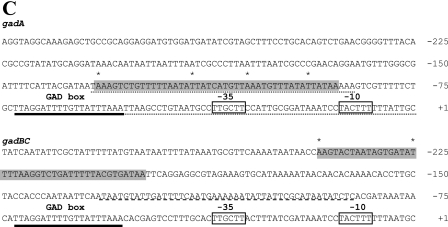 FIG.4.