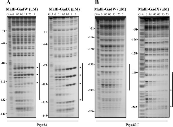 FIG.4.