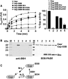 <b>FIG. 8.</b>