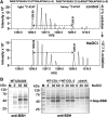 <b>FIG. 4.</b>