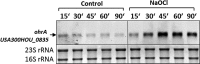 <b>FIG. 3.</b>