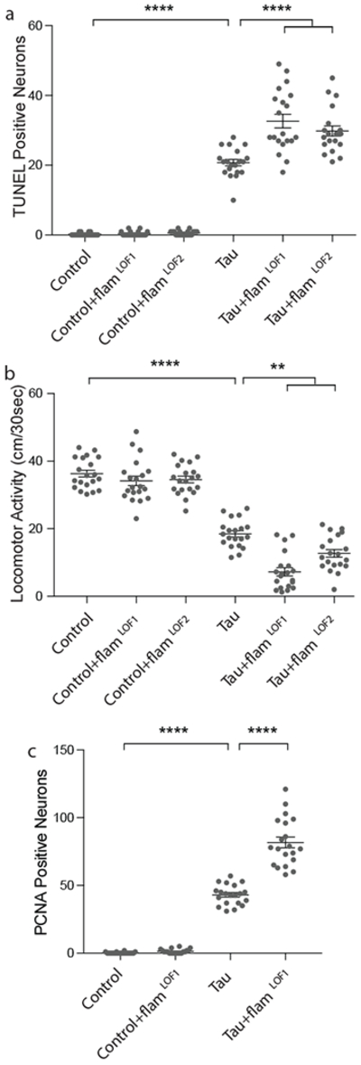 Figure 2 |