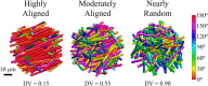 Microscale RVE fiber network cases. To evaluate the effect of microstructural organization on model behavior, three types of networks were investigated: a highly aligned fiber network (DV = 0.15), a moderately aligned network that matched the initial directional variance obtained experimentally (DV = 0.55), and a random network (DV = 0.90). The principal directions and densities of the fiber networks also closely approximated experimental values. The color bar indicates the fiber orientation relative to the axis of stretch.