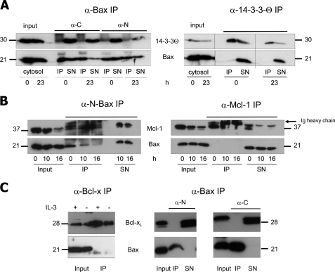 FIGURE 4.