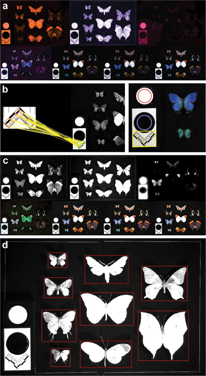 Fig. 3