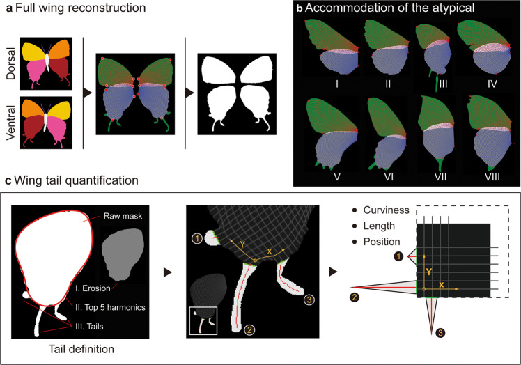 Fig. 4