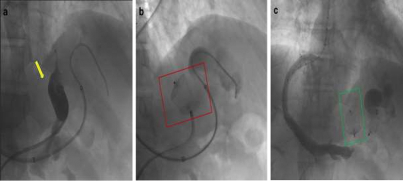 Fig. 7