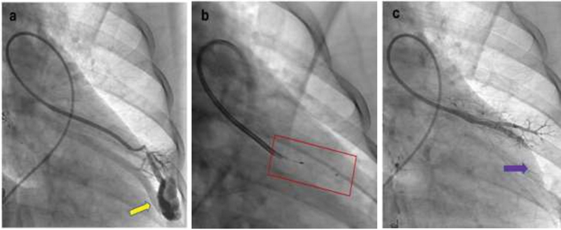 Fig. 8.