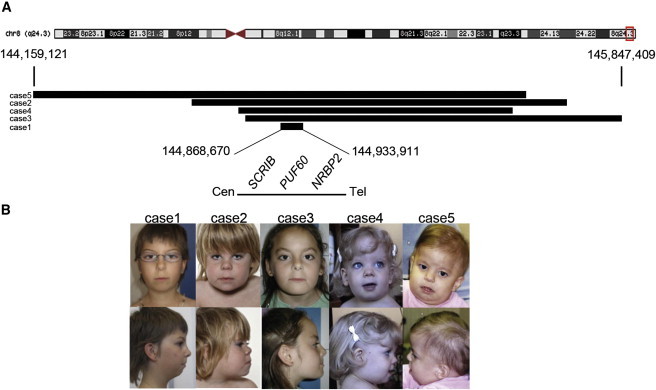 Figure 1