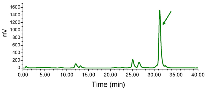 Fig. 2