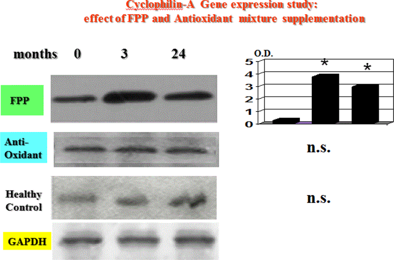 Figure 5: