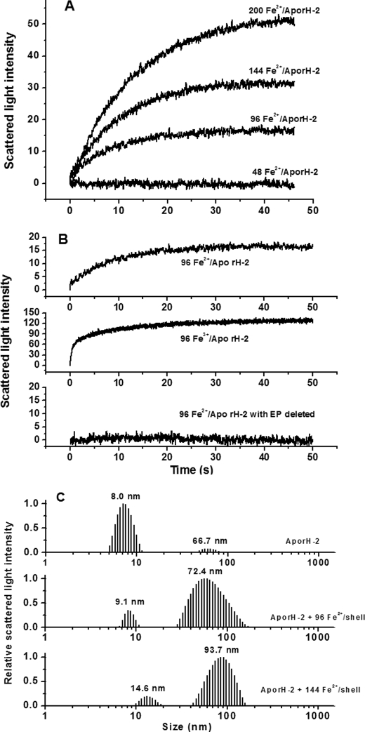 FIGURE 1.