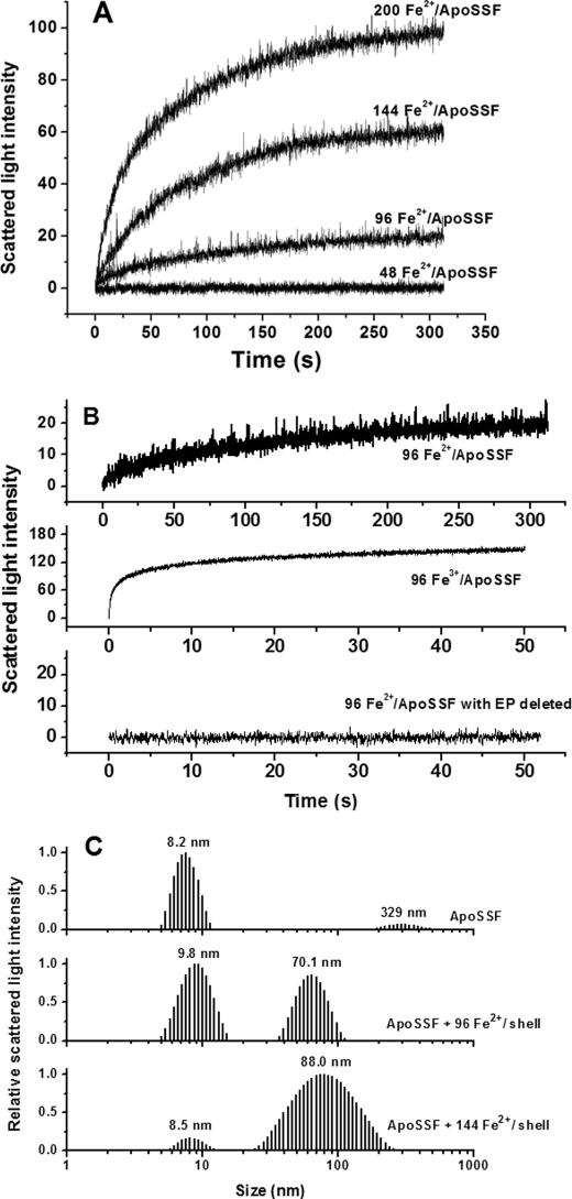 FIGURE 4.