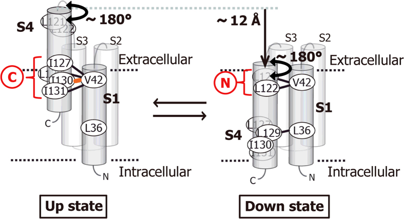 Figure 7