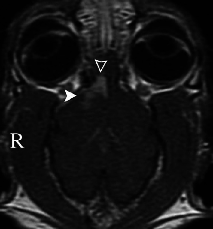 Fig 2