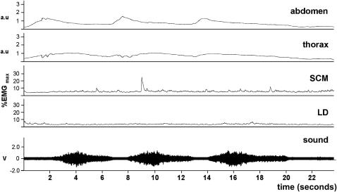 Figure 5