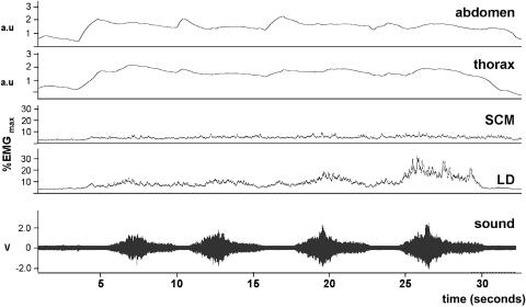 Figure 4