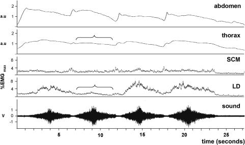 Figure 6