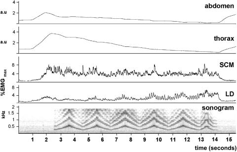 Figure 7