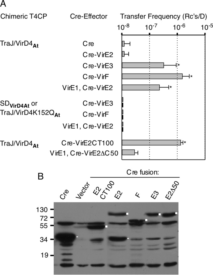 FIG 2