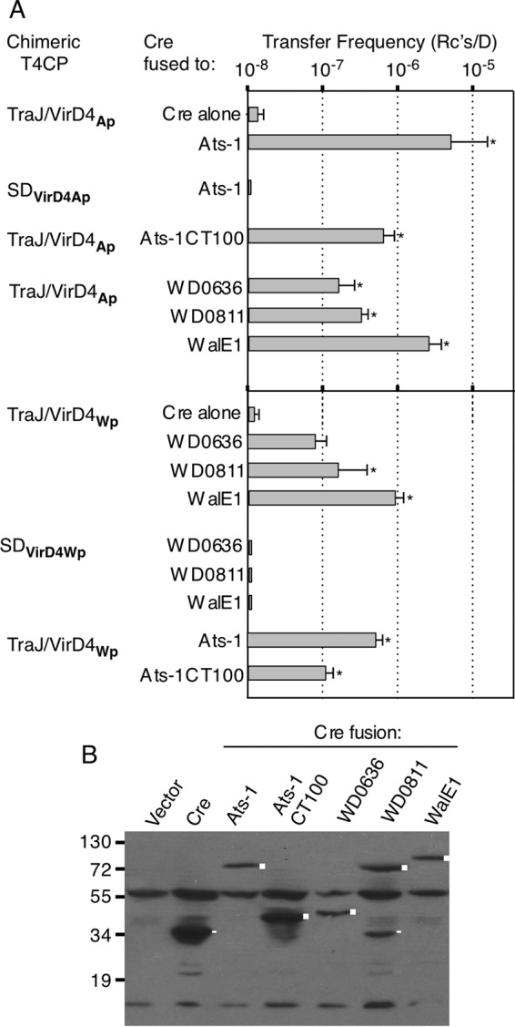 FIG 3