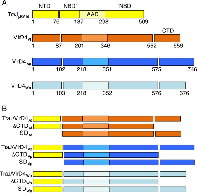 FIG 1