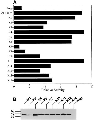 FIG. 4