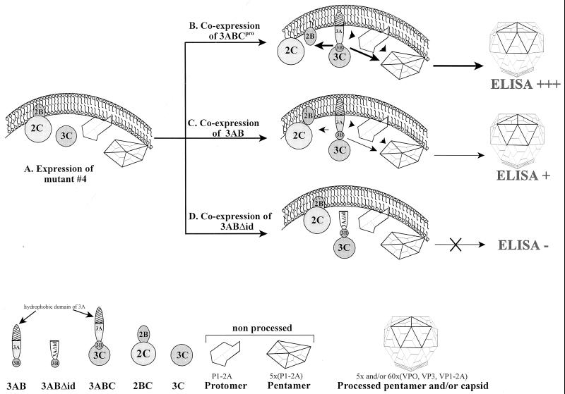 FIG. 8