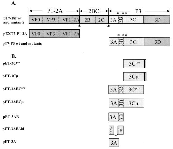 FIG. 1