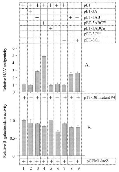 FIG. 5