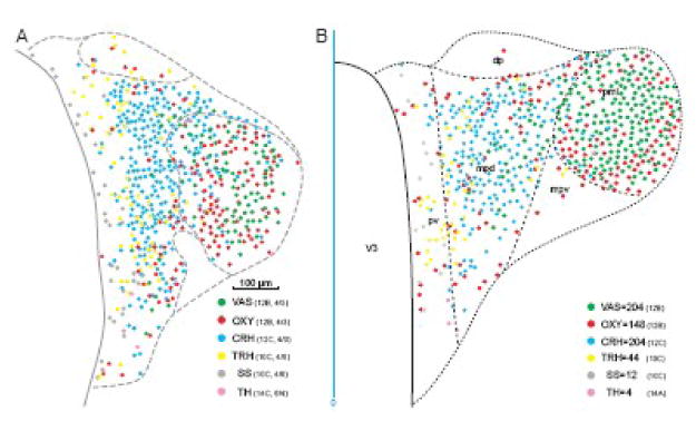 Fig. 10