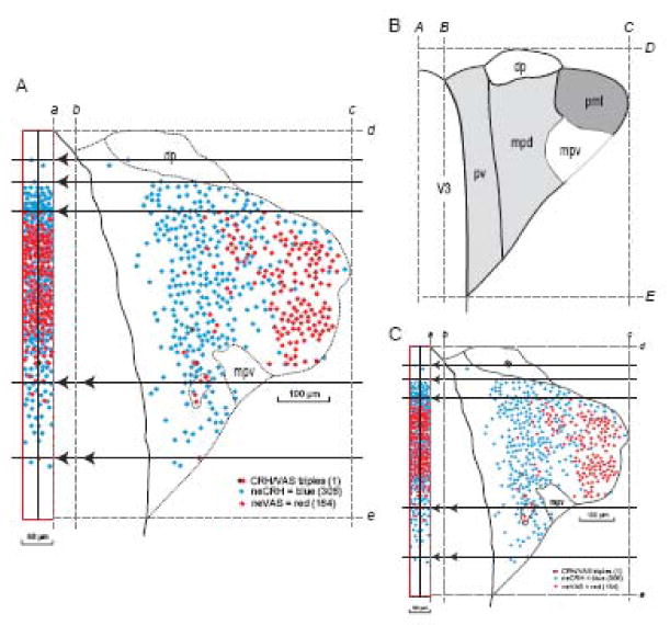 Fig. 12